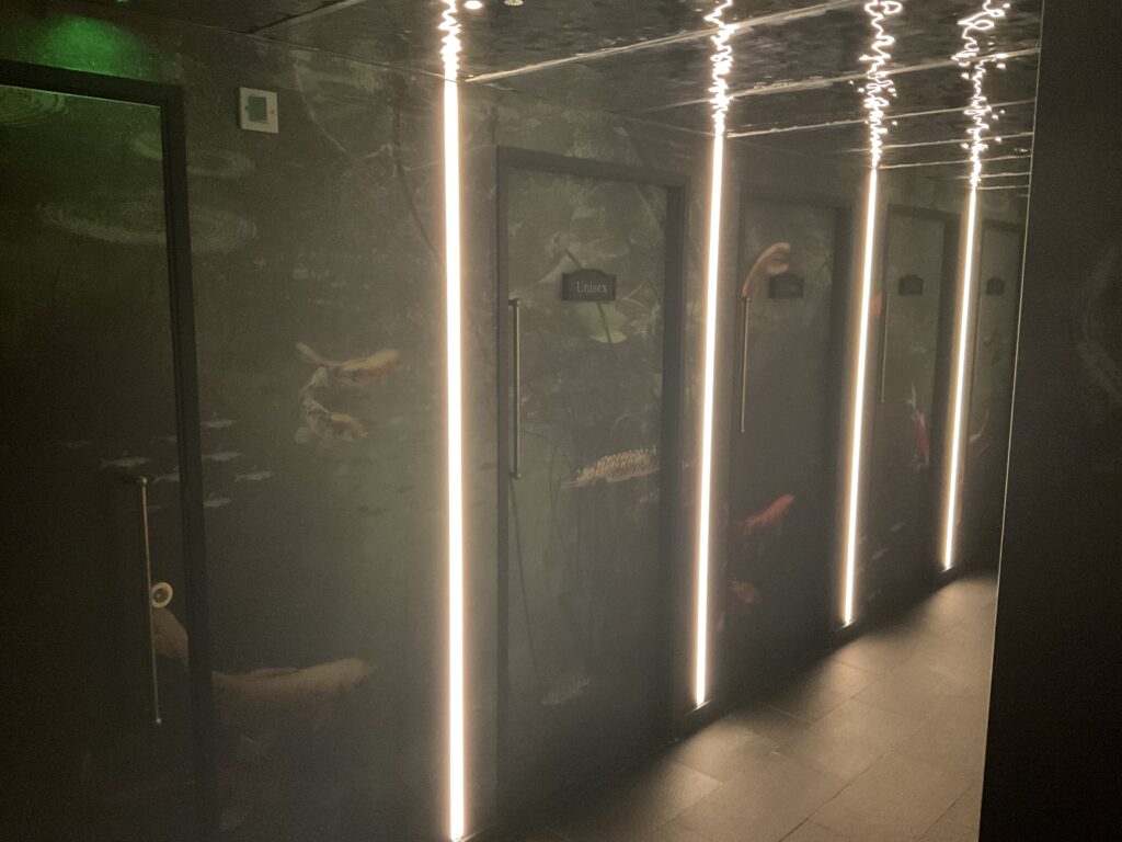 rosarium bar and restaurant lighting